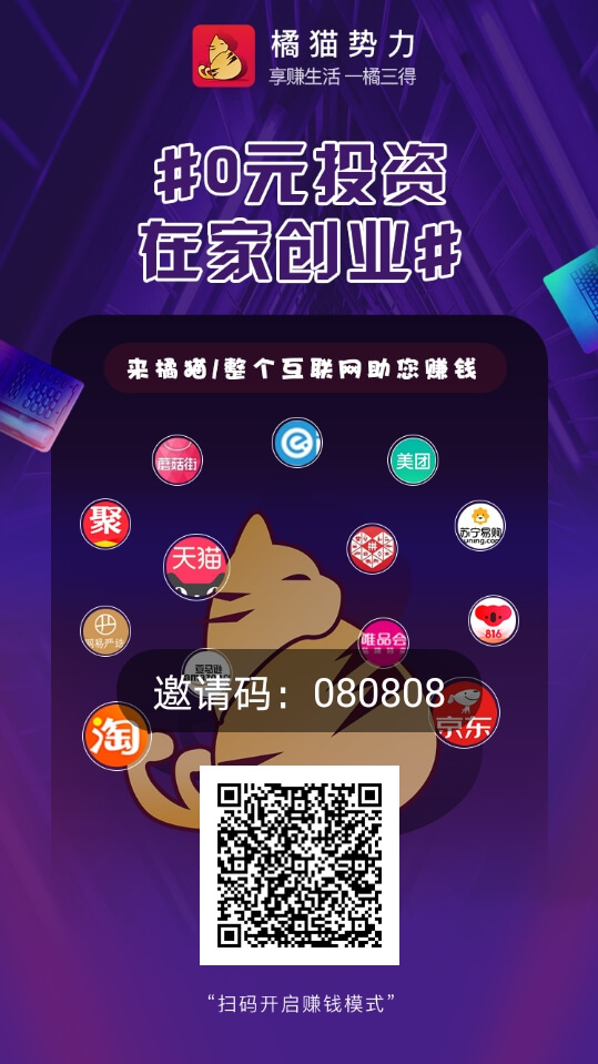 橘猫势力
