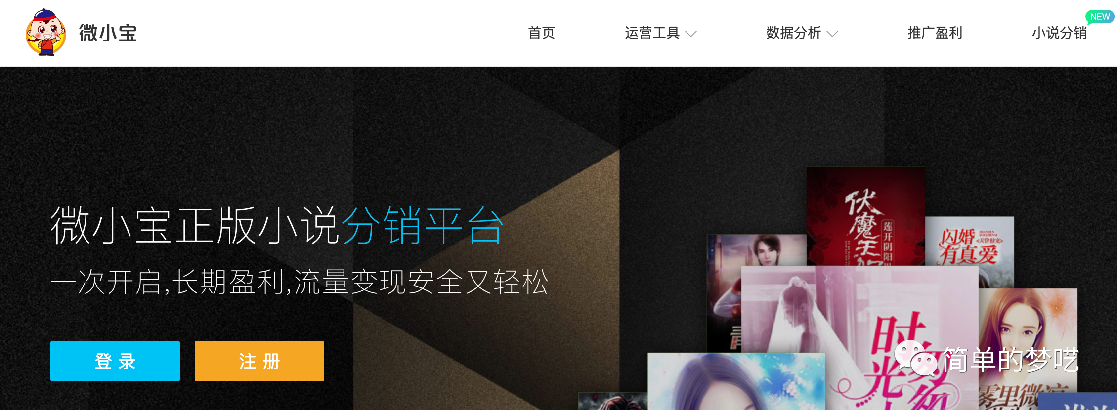 小说CPS:躺赚项目,月入3000