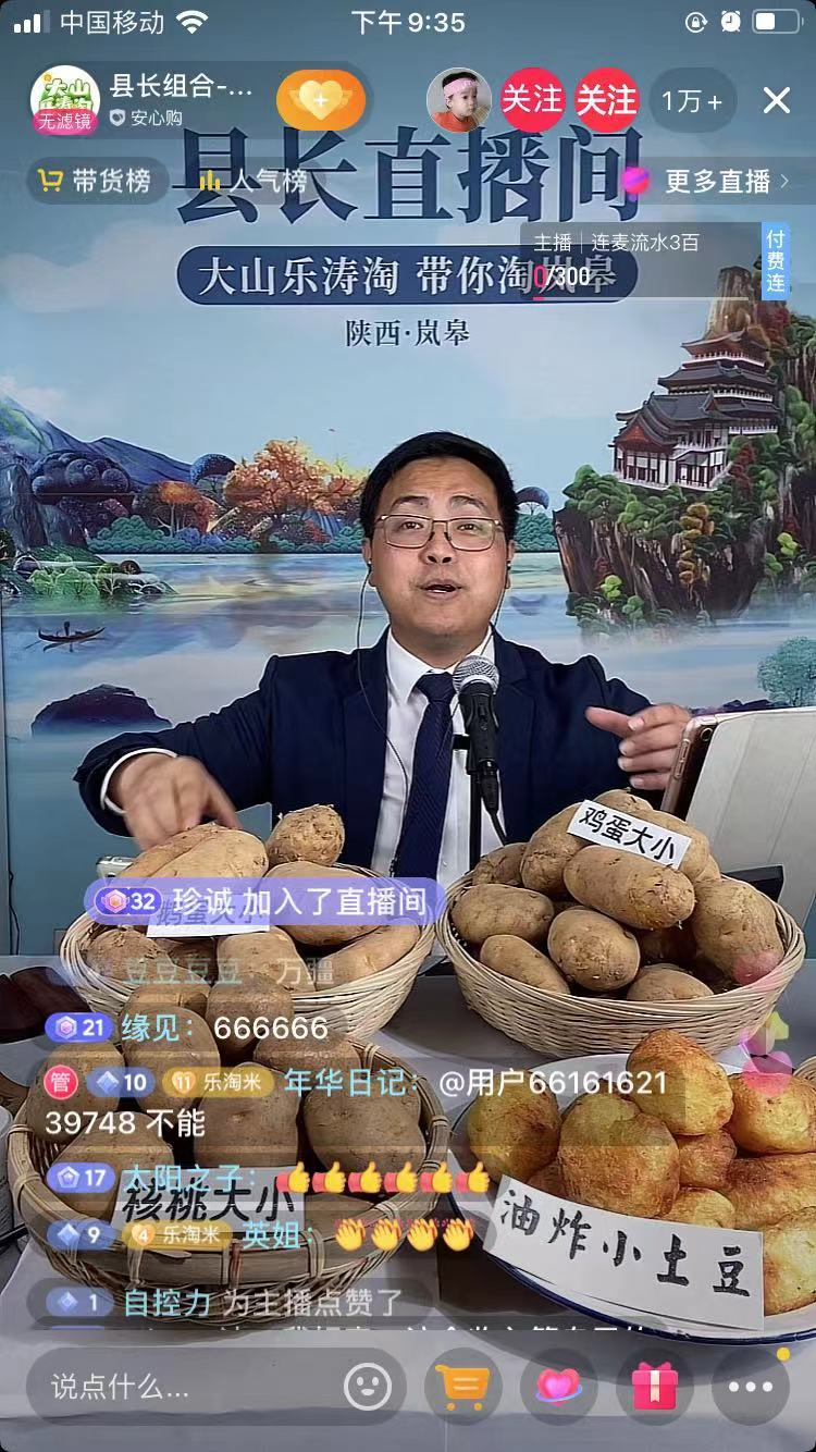 新手做项目首选