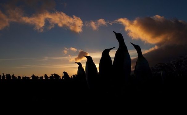《Linux 就该这么学》PDF免费下载-售价79元的Linux零基础书籍