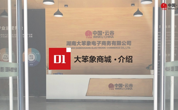 大笨象商城APP官方介绍.PDF文件免费下载