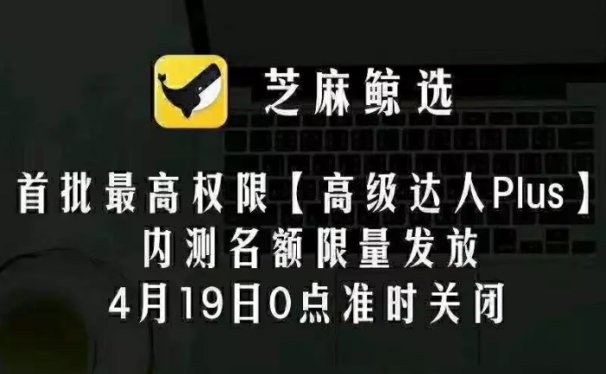 芝麻鲸选邀请码怎么填?
