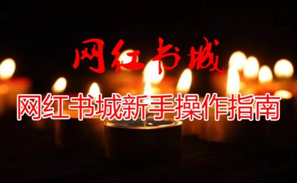 网红书城怎么赚钱,网红书城APP新手操作指南