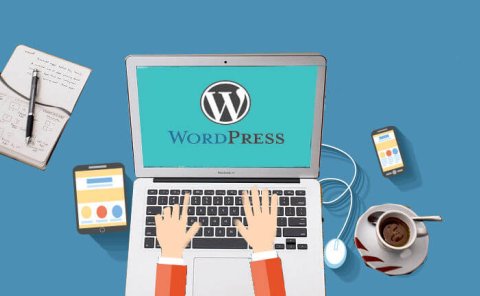 零基础1小时学会Wordpress搭建个人博客网站