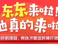 东东来啦:京东健康社交电商平台内测,首码对接团队长