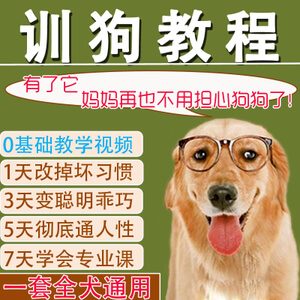 宠物狗训练秘籍视频教程合集
