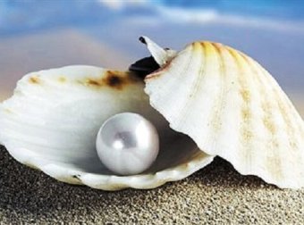 贝壳链商怎么增加珍珠？