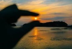 原来微博博主是靠这5个途径赚钱的!看完这篇文章,你也能捞一笔