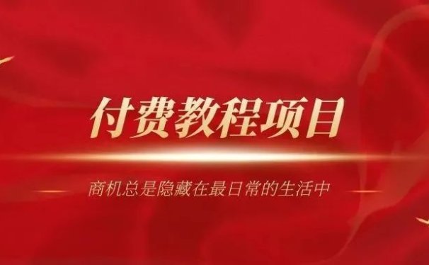 零成本付费教程项目做好月入2万+