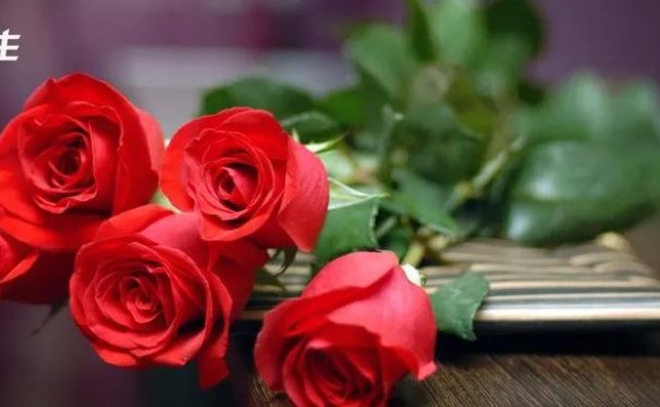 50句不烂大街的情人节文案短句子