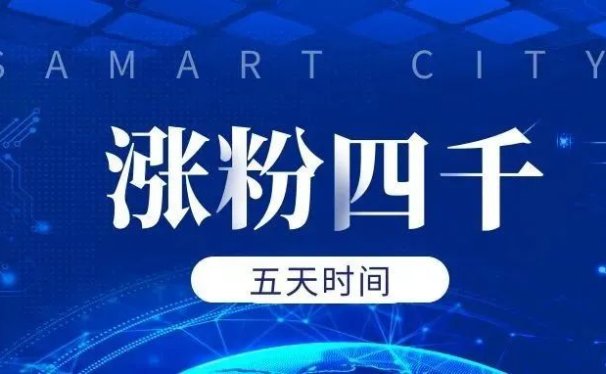 五天四千粉,学习还能涨粉