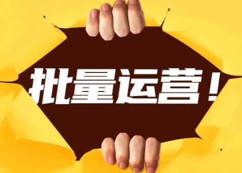 批量运营自媒体号,抓住核心点,运营力将狂飙!