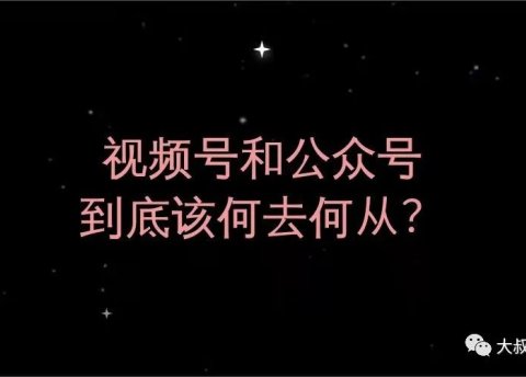 视频号和公众号,到底该如何选择?