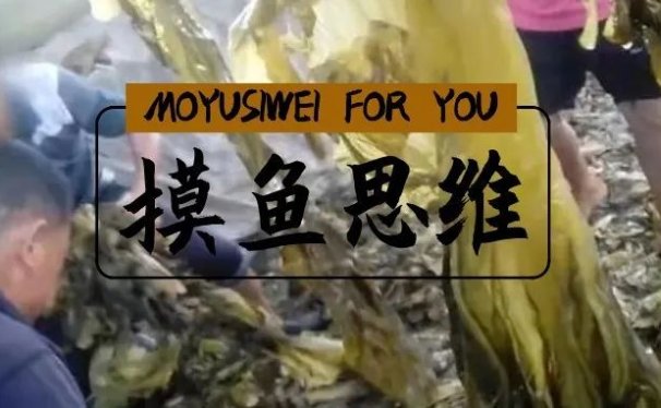 恶心的老坛酸菜!