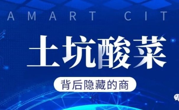 “土坑酸菜”背后隐藏的商机