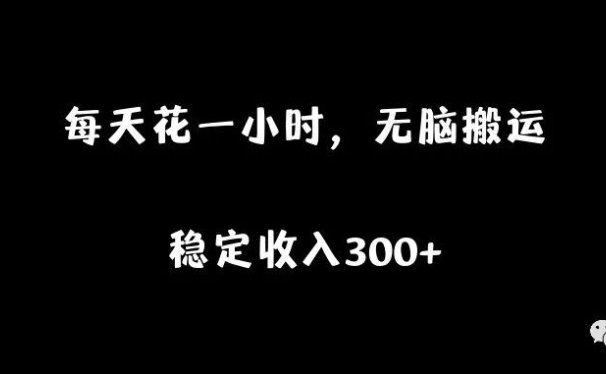 利用兴趣赚钱的副业项目:每天一小时,无脑搬运,稳定收入300+