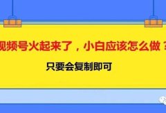 视频号火起来了,小白应该怎么做?