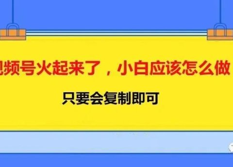视频号火起来了,小白应该怎么做?