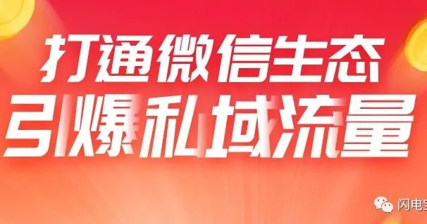 闪电宝Plus:一周收获千人团队,竟然没花一分钱?