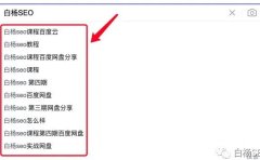 白杨SEO:如何快速收集百度、抖音、知乎、小红书等关键词搜索下拉词及挖掘更精准长尾关键词?
