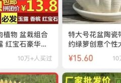 视频号可更换管理员,每个单品销量10万+的小商店带货案例