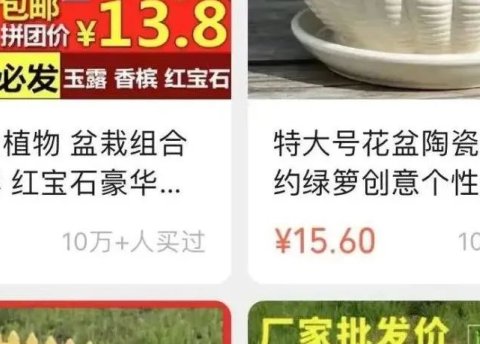 视频号可更换管理员,每个单品销量10万+的小商店带货案例