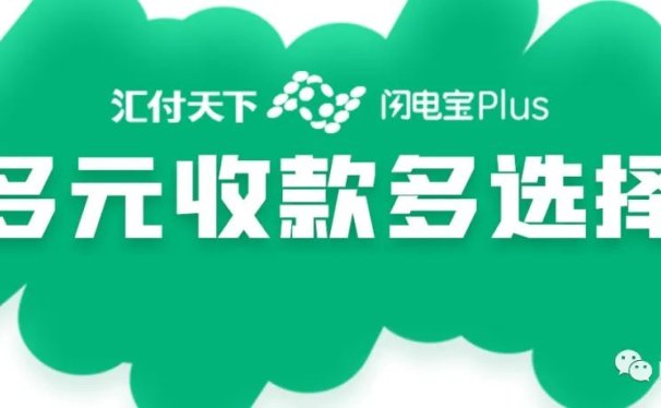 闪电宝Plus-多元收款多选择