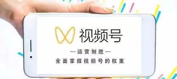 视频号这波大红利,谁能赚到钱?