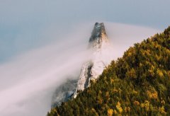 创作者必读!小红书关键词分析技巧