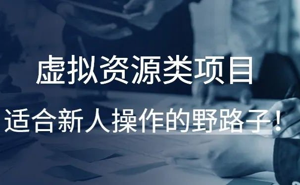 虚拟资源类项目,适合新人操作的野路子!