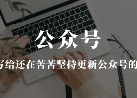 写给还在苦苦坚持更新公众号的你