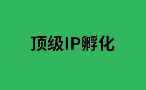 年入过亿,这才是顶级IP孵化的赚钱模式