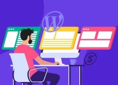 建站必看：如何查看别人的网站使用的是哪一款WordPress主题