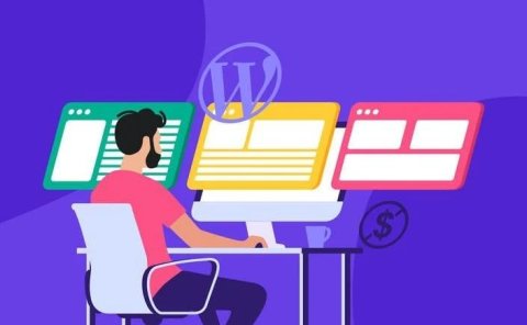 建站必看：如何查看别人的网站使用的是哪一款WordPress主题