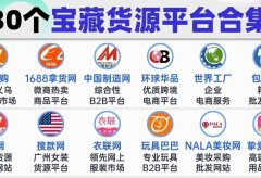 挖到宝了‼️这30个独立站货源平台超实用!